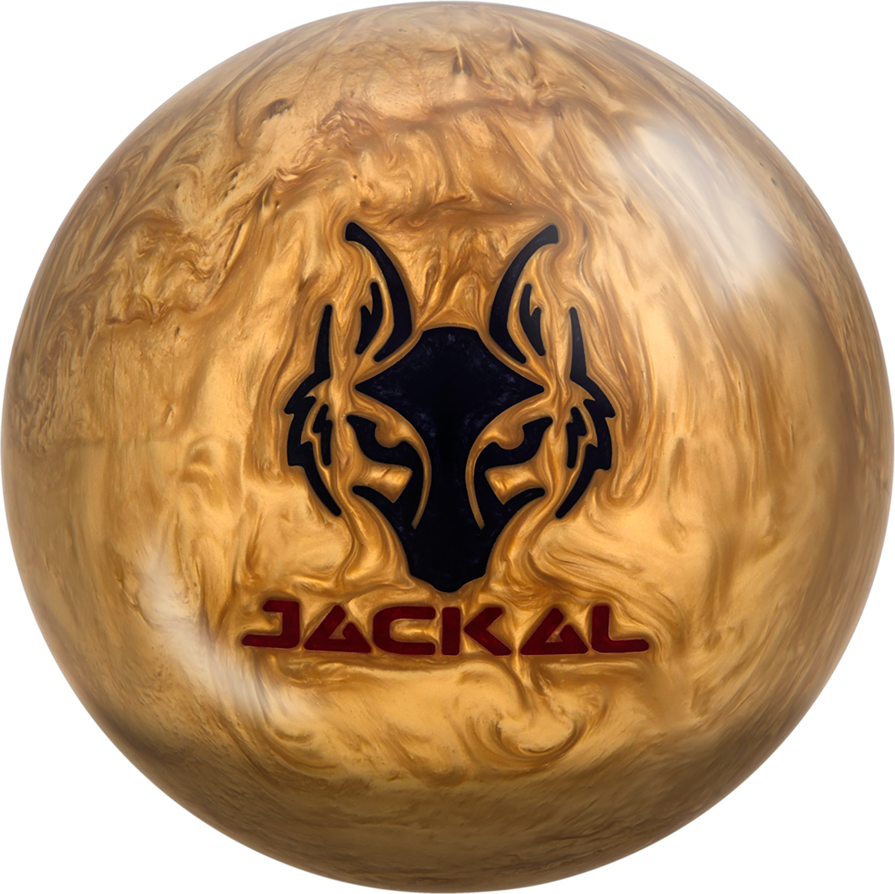golden_jackal